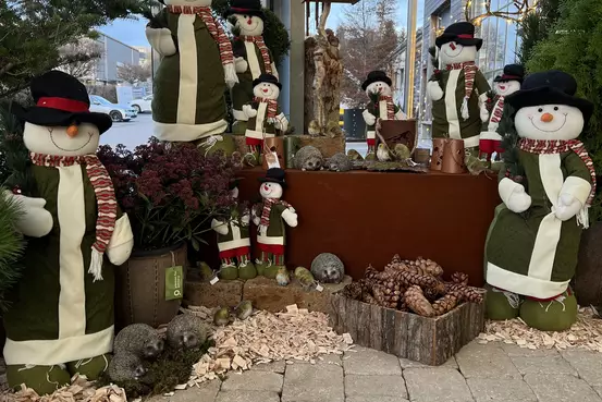 Marché de Noël Romont