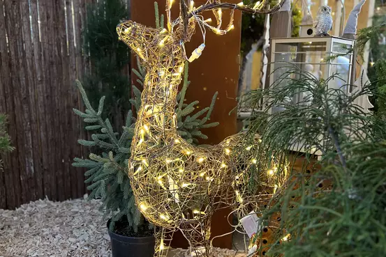 Marché de Noël Romont