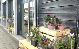 Photographie d'un meuble en bois sur roulettes servant à présenter des arrangements floraux