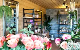 Photographie en gros plan d'un bouquet de roses
