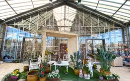 Vue de l'entrée du bâtiment de Garden Edelweiss avec des décoration pour l'extérieur