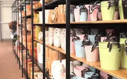 Photographie d'un rayon de magasin chez Garden Edelweiss qui présente divers pots de fleurs à vendre