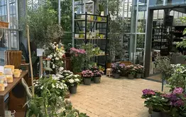 Photographie de l'entrée de Garden Edelweiss avec de grandes plantes et des baies vitrées