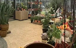Photographie de l'entrée de Garden Edelweiss avec de grandes plantes et des baies vitrées