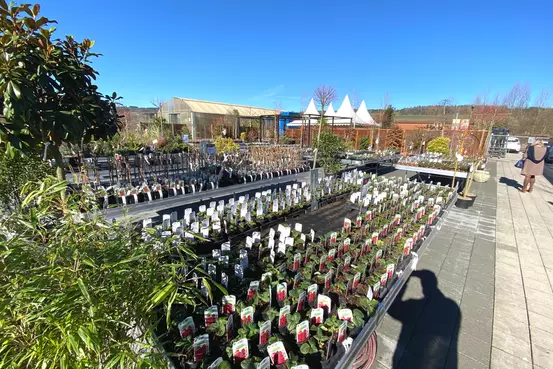 Vue des extérieurs de Garden Edelweiss