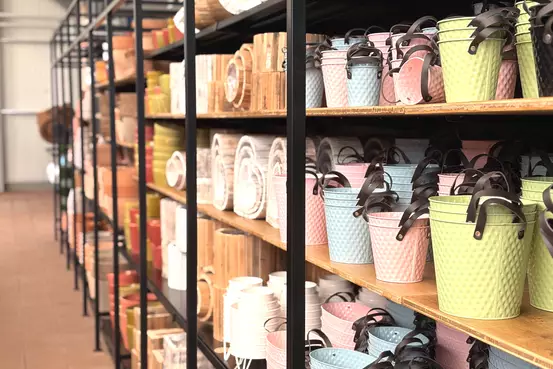 Photographie d'un rayon de magasin chez Garden Edelweiss qui présente divers pots de fleurs à vendre