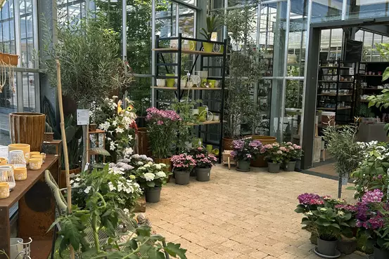 Photographie de l'entrée de Garden Edelweiss avec de grandes plantes et des baies vitrées