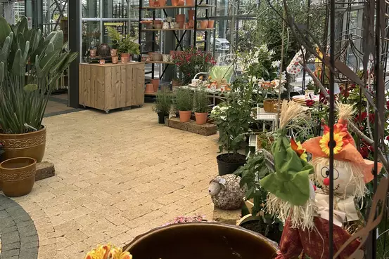 Photographie de l'entrée de Garden Edelweiss avec de grandes plantes et des baies vitrées