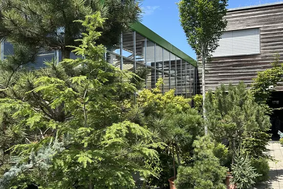 Photographie de l'extérieur du magasin Garden Edelweiss avec des arbres