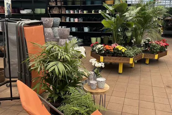 Photographie d'un rayon du magasin Garden Edelweiss avec divers produits de jardinage