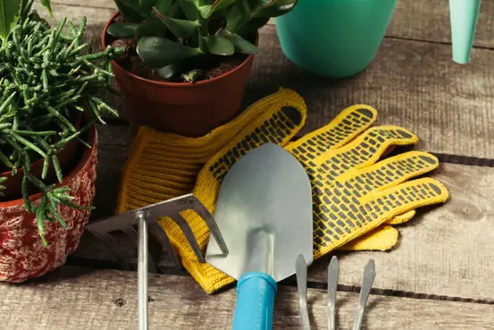Outils de jardinage