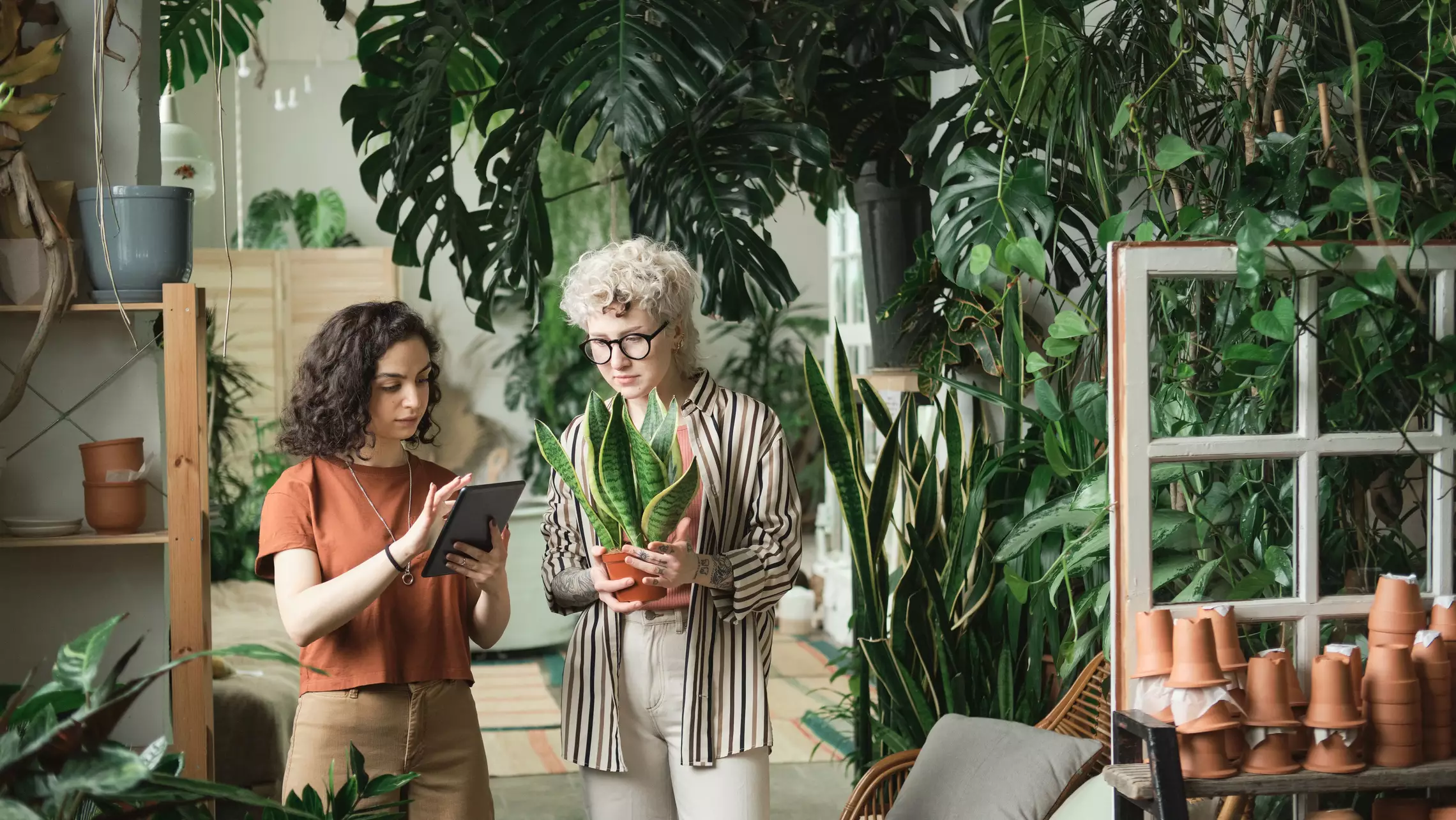 Conseil dans un magasin de plantes
